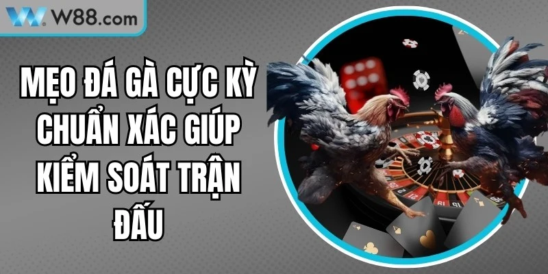 Mẹo đá gà cực kỳ chuẩn xác